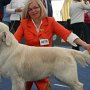 Exc. 1, World Winner in Veteran Class in Salzburg 2012<br /><br />