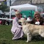 Opole 2008, CWC,CACIB,BOB