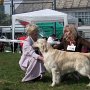 Opole 2008, CWC,CACIB,BOB