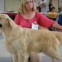 DUOCACIB Brno 2012 - V1 CAC, CACIB