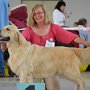 DUOCACIB Brno 2012 - V1 CAC, CACIB