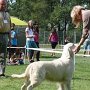 Prešov 2011 - V1, CAC, BOS