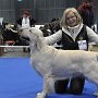 DUOCACIB Brno 2012 - V1, CAC <br />
