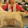DUO CACIB Brno 2012 - V3