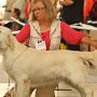 DUO CACIB Brno 2012 - V3