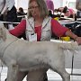 DUO CACIB Brno 2012 - V3